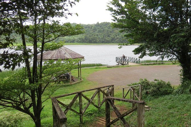 Small-Group Adventure Trek in Grand Etang National Park - Final Thoughts