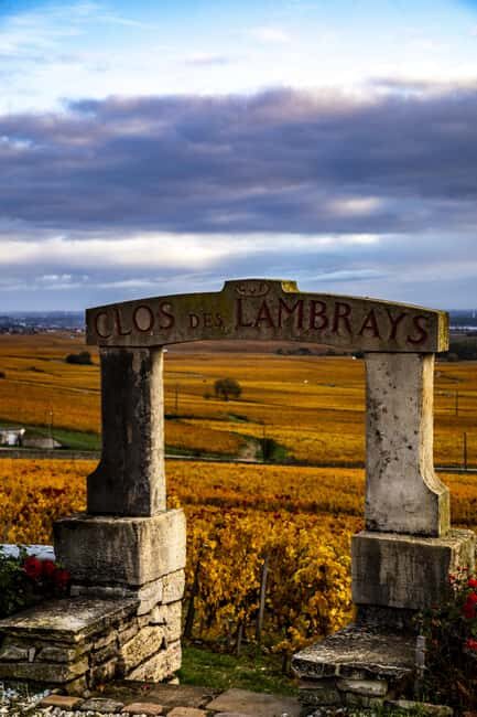 Small group Afternoon in Côte de Nuits - Discovering the Côte de Nuits: A Practical Guide to an Authentic Burgundy Wine Tour