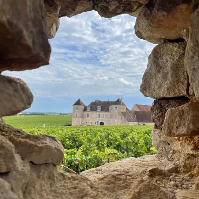 Small group Afternoon in Côte de Nuits - Key Points