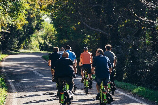 Small-group Amarone Wine e-Bike Tour from Verona - A Deep Dive into the Experience