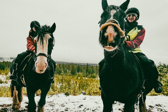 Small-Group Arctic Circle Horse Riding from Rovaniemi - A Deep Dive into the Experience