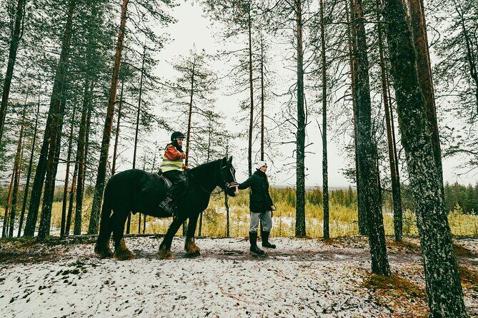 Small-Group Arctic Circle Horse Riding from Rovaniemi - Final Thoughts