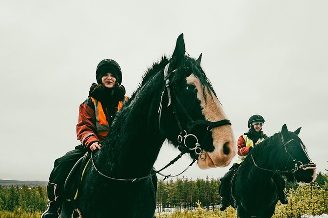 Small-Group Arctic Circle Horse Riding from Rovaniemi - FAQ