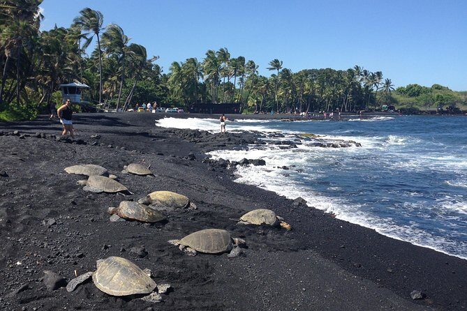 Small-Group Big Island Tour: Hawaii Volcanoes National Park and Kona Coffee Farm - The Value Proposition