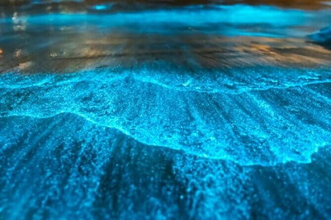 Small Group Bioluminescent Canoe&Twilight Adventure Phang Nga Bay - Practical Details and What to Expect