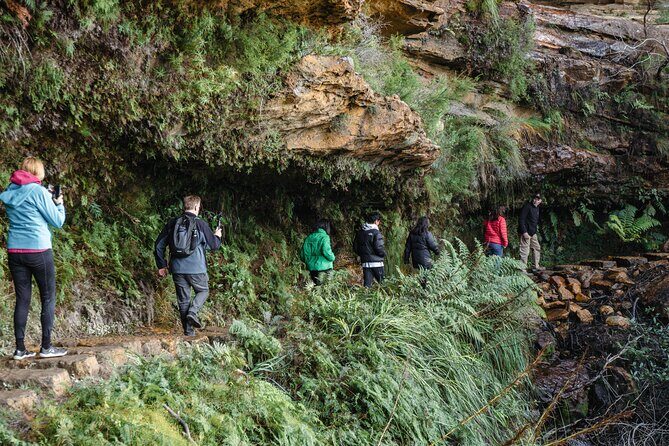 Small Group Blue Mountains Wildlife & Bushwalk Tour From Sydney - Key Points