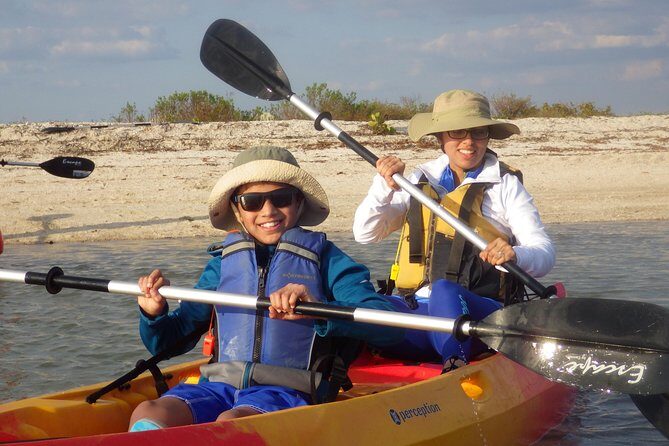 Small Group Boat, Kayak and Walking Guided Eco Tour Everglades - Discover the Authentic Florida Everglades: Small-Group Boat, Kayak, and Walking Eco Tour