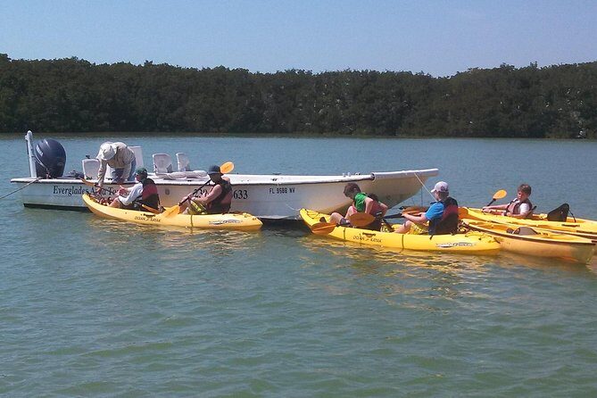 Small Group Boat, Kayak and Walking Guided Eco Tour Everglades - Key Points