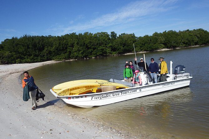 Small Group Boat, Kayak and Walking Guided Eco Tour Everglades - Why This Tour Works Well for Travelers