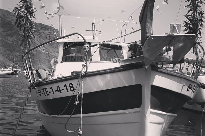 Small Group Boat Whale and Dolphin Watching Tour - Exploring La Gomera’s Marine Life on a Small-Group Boat Tour