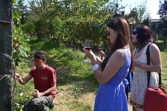 Small-Group Brunello Wine Tour of Montalcino from Florence - Why This Tour Offers Real Value