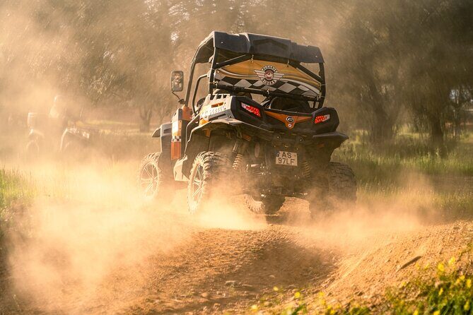 Small-Group Buggy Riding Safari in Algarve - Key Points