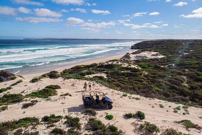 Small-Group Buggy Tour at Little Sahara with Guide - Exploring Kangaroo Island’s Little Sahara: A Deep Dive
