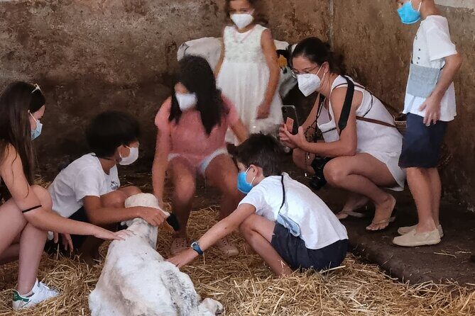 Small Group Cheese Making and Tasting from the Island of Baleares - Final Thoughts
