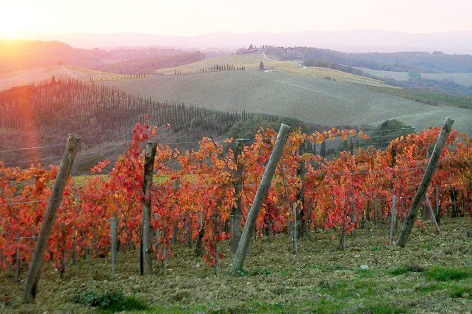 Small-Group Chianti and San Gimignano Sunset Trip from Siena - Who Will Enjoy This Tour Most?
