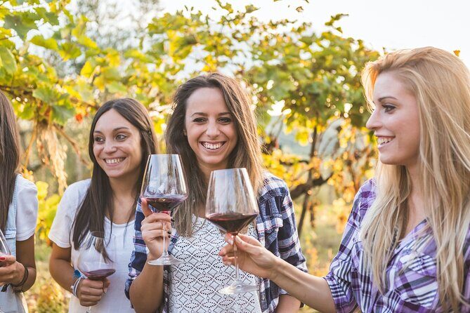 Small group Chianti, Montalcino & Monteriggioni castle from Siena - Who Will Love This Tour?