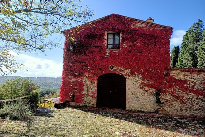 Small group Chianti, Montalcino & Monteriggioni castle from Siena - FAQ