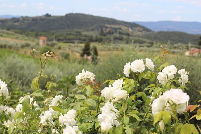SMALL GROUP Chianti Tradition wine tour (max 8 pp) - A Small-Group Journey into Chianti’s Culinary and Viticultural Heart