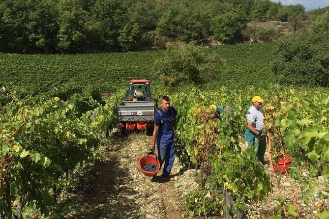 Small Group Chianti Wine Tasting with Seven Tuscan Wines - The Itinerary in Detail