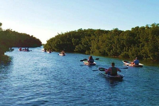 Small-Group Clear Kayak Tour in Shell Key - Small-Group Clear Kayak Tour in Shell Key: A Natural Escape with a View Beneath