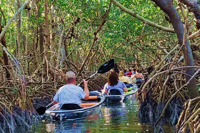 Small-Group Clear Kayak Tour in Shell Key - Key Points