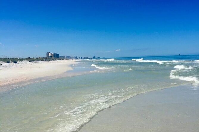 Small Group Clearwater Beach, Dolphin Watch Day Tour from Orlando - Analyzing the Value