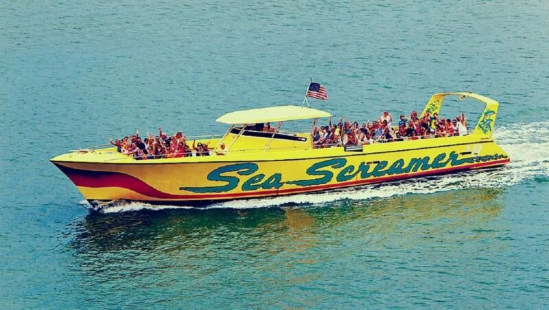 Small Group Clearwater Beach,Dolphin Watch Tour from Orlando - Key Points