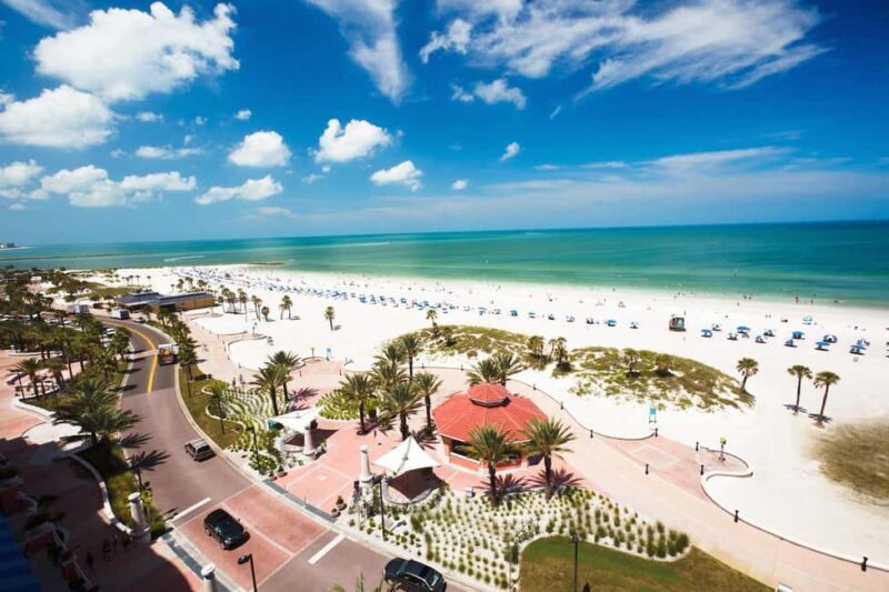 Small Group Clearwater Beach,Dolphin Watch Tour from Orlando - An In-Depth Look at the Tour Experience