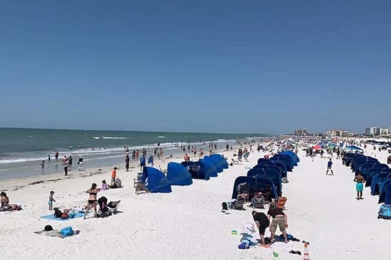 Small Group Clearwater Beach,Dolphin Watch Tour from Orlando - Final Thoughts