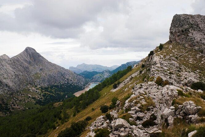 Small-Group Cliff Jumping Experience in Mallorca - FAQ