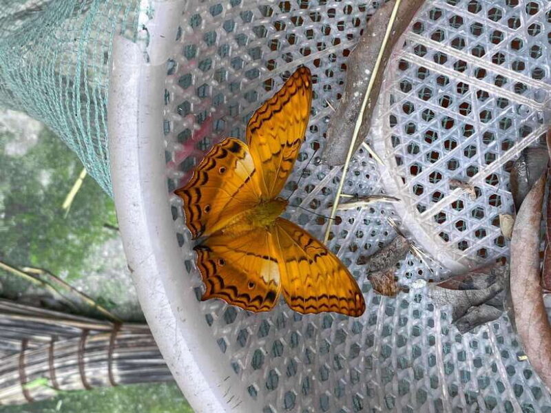 Small Group: CucPhuong National Park 1 day pick up Ninh Binh - Who Should Consider This Tour?