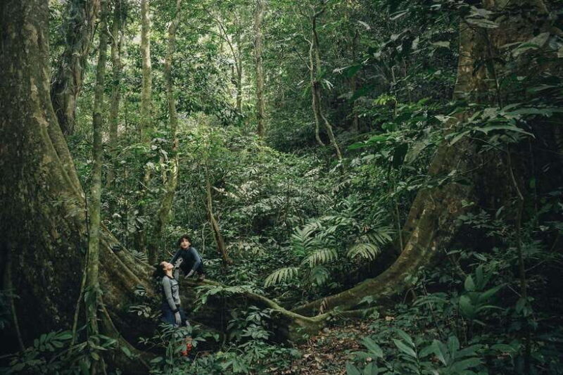 Small Group: CucPhuong National Park 1 day pick up Ninh Binh - FAQs