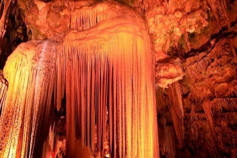 Small-Group D.C. Day Trip to Shenandoah Park & Luray Cavern - Final Thoughts