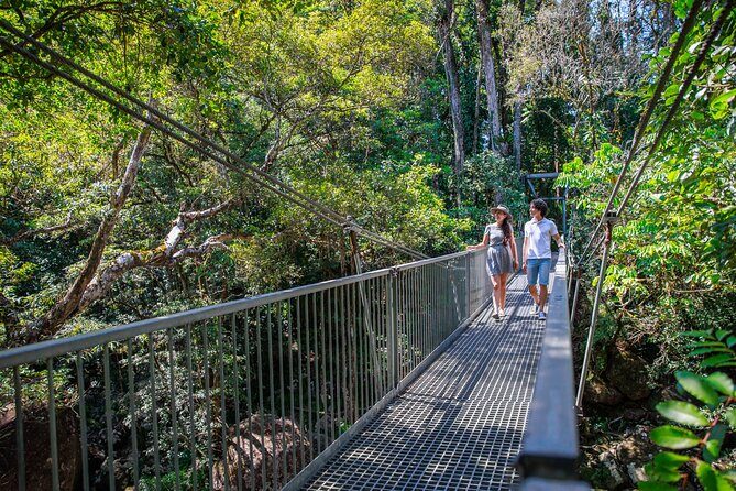 Small Group Daintree Rainforest and Aboriginal Coastal Adventure - Who Should Consider This Tour?