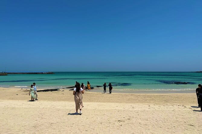 Small Group Day Tour in East Jeju Healing Island - The Sum Up