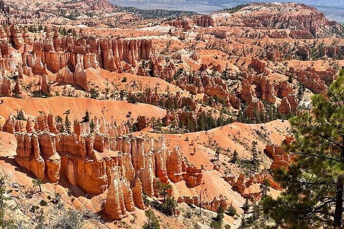 Small Group Day Tour To Explore Bryce Canyon & Zion National Park - FAQ