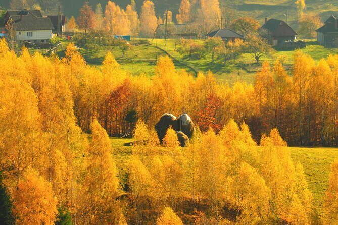 Small-Group Day Trip in Romanian Authentic Mountain Villages from Brasov - Who Should Consider This Tour