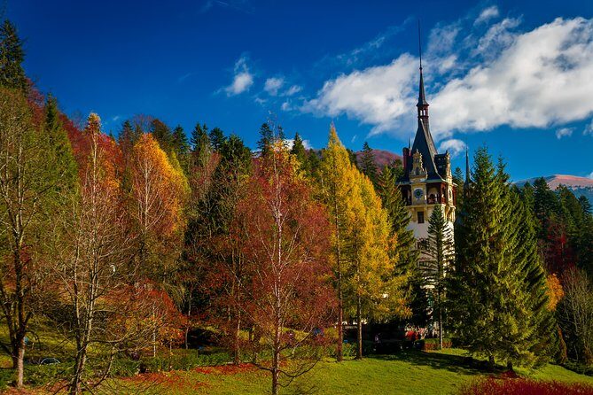 Small-Group Day Trip to Dracula's Castle, Brasov and Peles Castle - The Itinerary: A Deep Dive