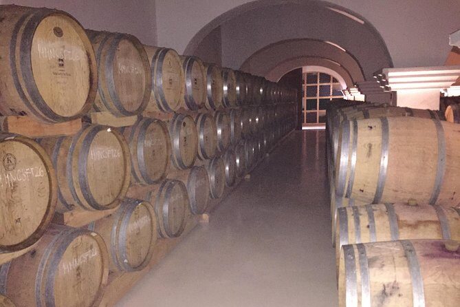 Small group Day Trip to Evora and Monsaraz from Lisbon with wine tasting - A Deep Dive into the Experience