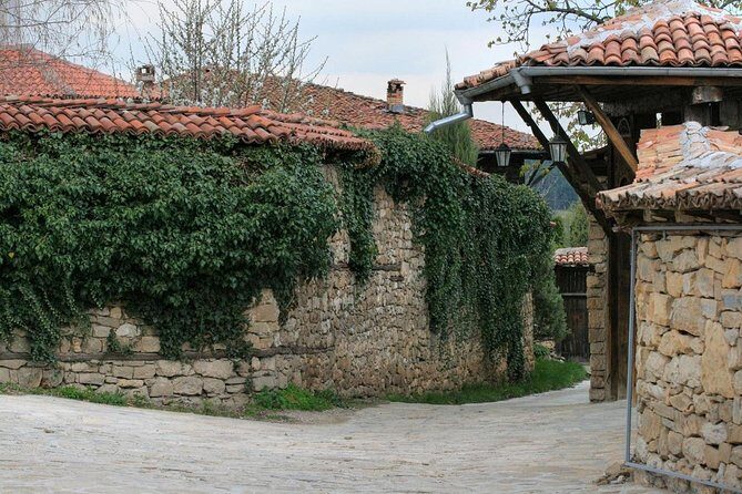 Small-Group Day Trip to North Bulgaria - Who Should Consider This Tour?