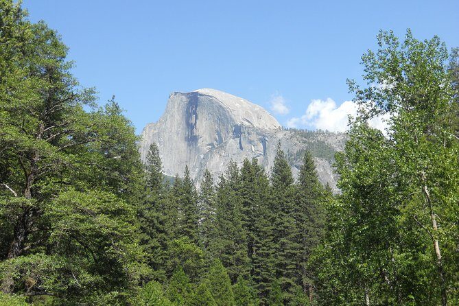 Small-Group Day Trip to Yosemite from Lake Tahoe - Final Thoughts: Why Choose This Tour?