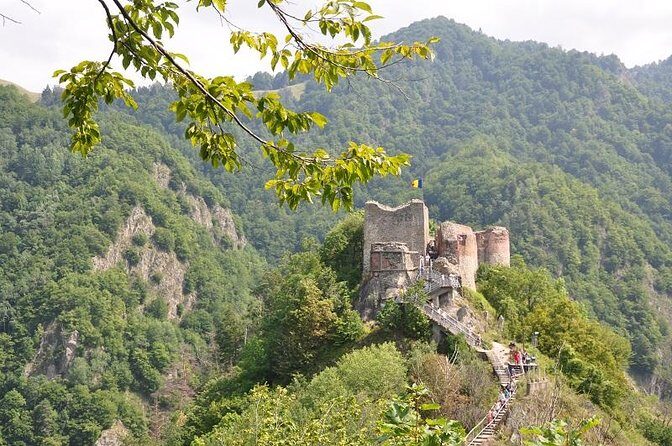 Small-Group Day trip Transfagarasan road and Poienari Fortress from Brasov - A Deep Dive into the Experience