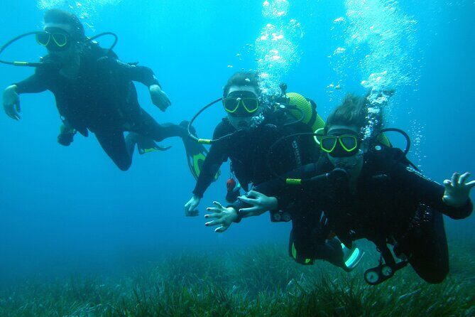 Small Group Diving Adventure in Menorca - Who Is This Tour Best For?