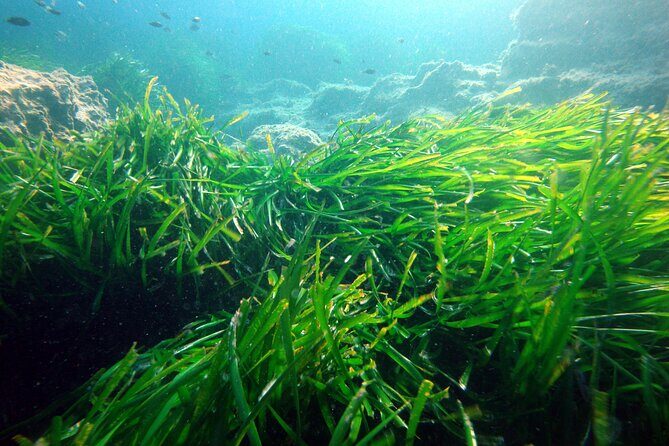 Small Group Diving Adventure in Menorca - Final Thoughts