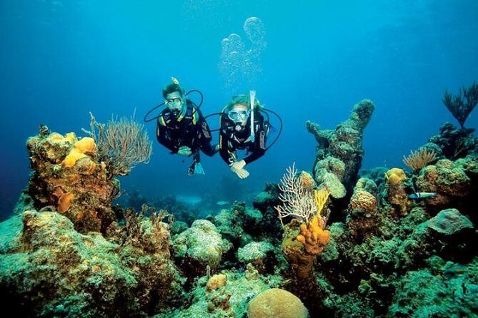 Small Group Diving Baptism in Tossa de Mar - Introduction: Discovering the Underwater World in Tossa de Mar