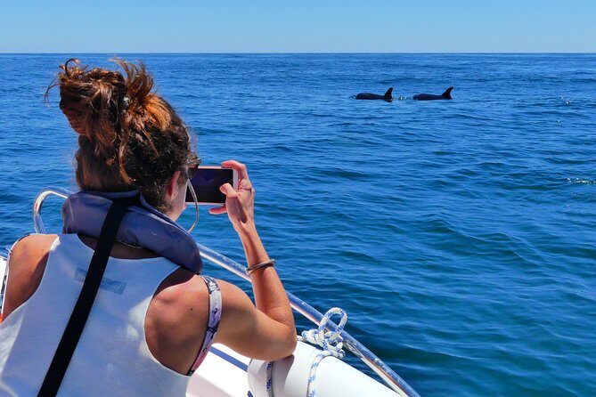 Small Group Dolphin and Wildlife Watching Tour in Faro - Final Thoughts