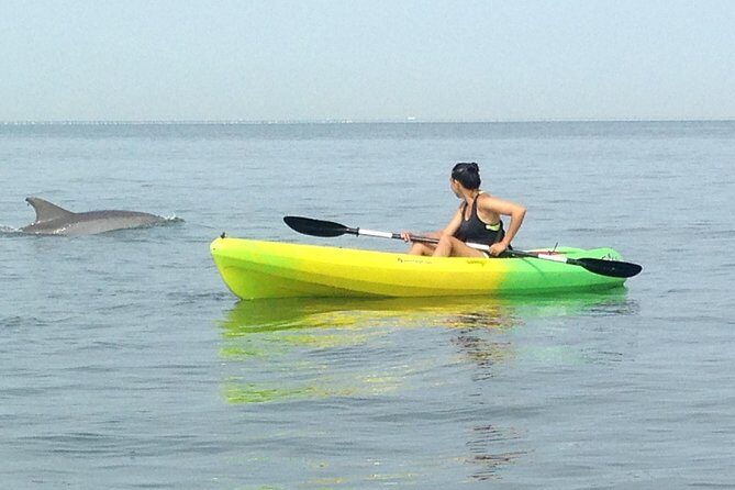 Small Group Dolphin Kayak Eco-Tour - Key Points