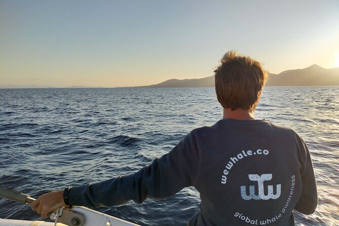 Small Group Dolphin Sunset Tour on Electric Catamaran Lanzarote - Who Is This Tour Best For?