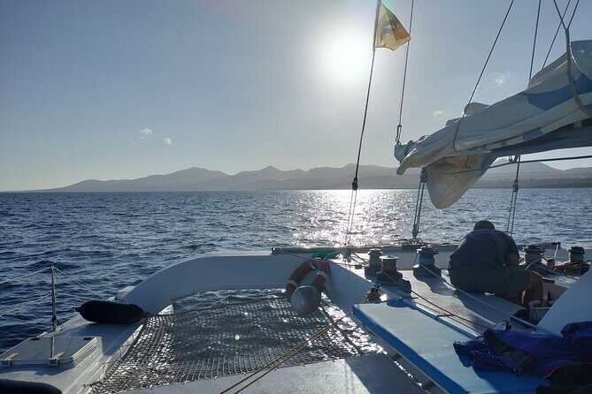 Small Group Dolphin Sunset Tour on Electric Catamaran Lanzarote - Final Thoughts
