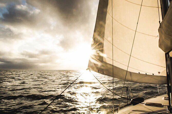 Small Group Dolphin Sunset Tour on Electric Sailing Boat Denia - References
